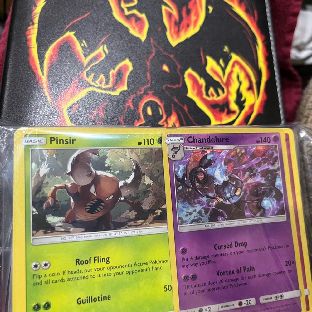 Pokémon book with a lot of cards & then a 250 gift pack-just received, unopened